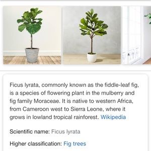 Meet your Posher, Jesse